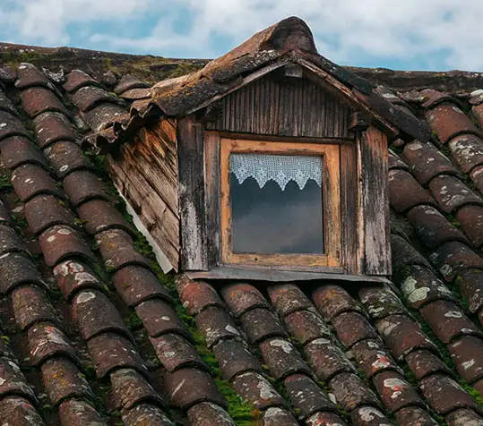 oude dakpannen tijdens gratis dakinspectie