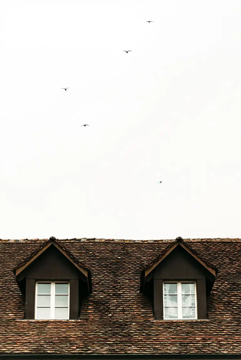 hoe weet je of je dakrenovatie nodig hebt?