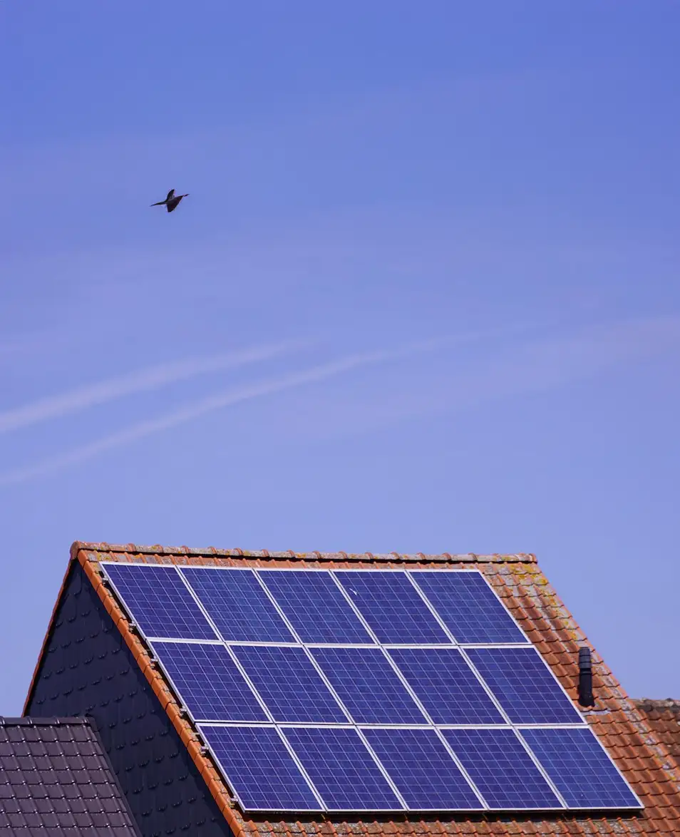 slimme oplossingen om dakproblemen duurzaam aan te pakken.