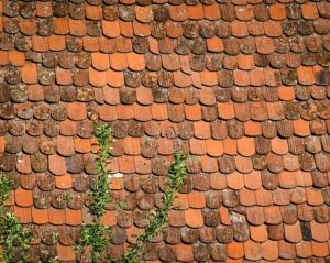 veelvoorkomende oorzaken van dakproblemen