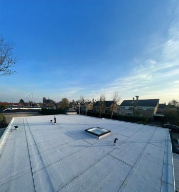 bitumen dakbedekking tijdens gratis dakinspectie